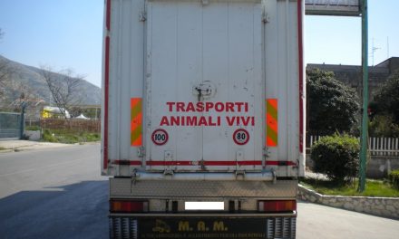 AUTOTRASPORTO–Trasporto animali vivi, corso di Confartigianato per formazione addetti settore