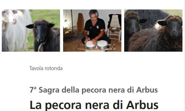 ARBUS – Venerdì 28 luglio una tavola rotonda sulla valorizzazione della pecora nera. Carne, latte, formaggio e lana pronti per il mercato ma occorrono strategie condivise di sviluppo.