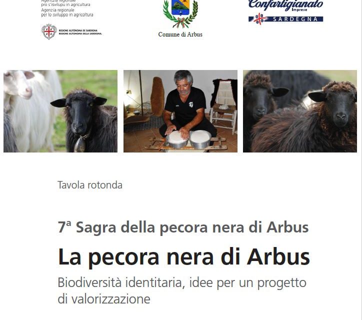 ARBUS – Venerdì 28 luglio una tavola rotonda sulla valorizzazione della pecora nera. Carne, latte, formaggio e lana pronti per il mercato ma occorrono strategie condivise di sviluppo.