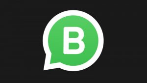 WhatsApp business, ecco cosa si può fare con la nuova applicazione Per piccole aziende e attività, aggiunge nuove funzioni