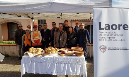 PANE – Conclusa la prima edizione di “Panifici aperti-Le vie del pane”, iniziativa regionale per la valorizzazione del pane sardo di Confartigianato Sardegna e Laore Sardegna.