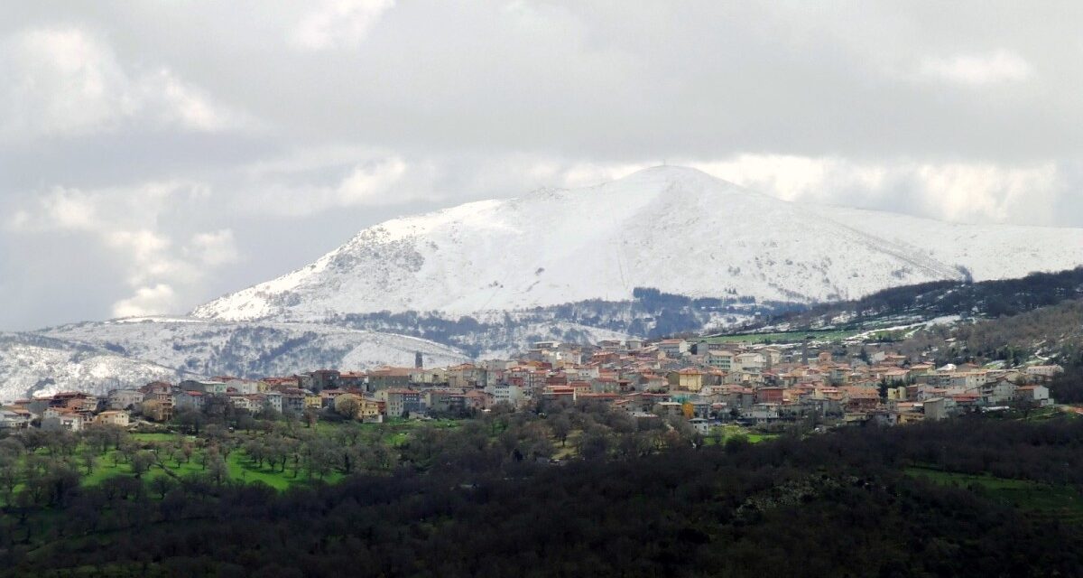 MONTAGNA – La carenza di infrastrutture mette fuori gioco imprese e territori montani isolani. Tempi di percorrenza insostenibili e valore aggiunto che va a picco: addetti sardi ultimi in Italia. Giacomo Meloni e Daniele Serra (Confartigianato Sardegna): “La salute del tessuto imprenditoriale e sociale interno influisce pesantemente sulla crisi demografica”. Appello alla Giunta.