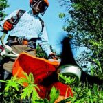 IMPRESE DEL VERDE – Crescono le imprese che si prendono cura del verde e del paesaggio: sono 838 di cui 532 artigiane, con 2.223 lavoratori. Meloni (Presidente Confartigianato Sardegna): “Settore in salute ma minacciato da abusivismo e aumento del costo di materiali e fertilizzanti”.