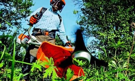 IMPRESE DEL VERDE – Crescono le imprese che si prendono cura del verde e del paesaggio: sono 838 di cui 532 artigiane, con 2.223 lavoratori. Meloni (Presidente Confartigianato Sardegna): “Settore in salute ma minacciato da abusivismo e aumento del costo di materiali e fertilizzanti”.