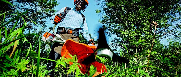 IMPRESE DEL VERDE – Crescono le imprese che si prendono cura del verde e del paesaggio: sono 838 di cui 532 artigiane, con 2.223 lavoratori. Meloni (Presidente Confartigianato Sardegna): “Settore in salute ma minacciato da abusivismo e aumento del costo di materiali e fertilizzanti”.