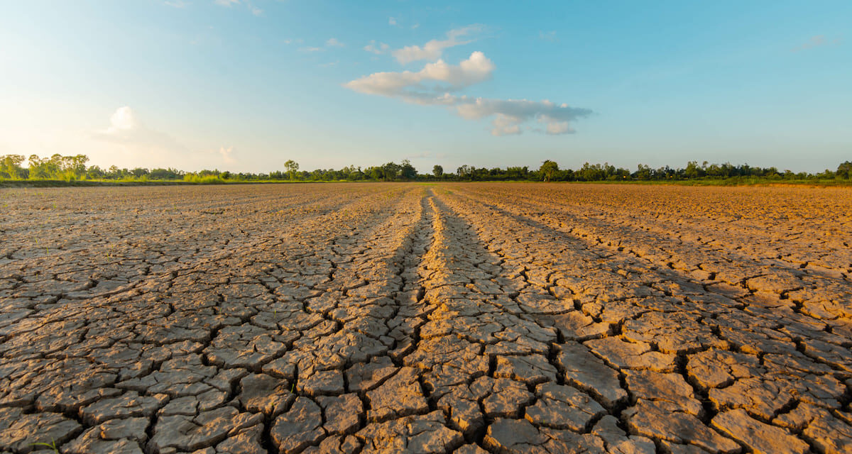 SICCITA’ – Scarse piogge e perdite d’acqua colpiscono territori e imprese della Sardegna. Nell’Isola oltre 6mila realtà “idro-esigenti” con 20mila dipendenti. Giacomo Meloni (Presidente Confartigianato Sardegna): “Necessarie nuove reti, ammodernamento delle vecchie e, soprattutto, la responsabilità di tutti”