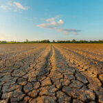 SICCITA’ – Scarse piogge e perdite d’acqua colpiscono territori e imprese della Sardegna. Nell’Isola oltre 6mila realtà “idro-esigenti” con 20mila dipendenti. Giacomo Meloni (Presidente Confartigianato Sardegna): “Necessarie nuove reti, ammodernamento delle vecchie e, soprattutto, la responsabilità di tutti”