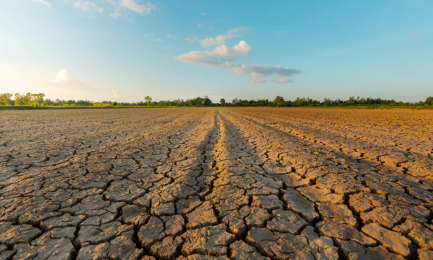 SICCITA’ – Scarse piogge e perdite d’acqua colpiscono territori e imprese della Sardegna. Nell’Isola oltre 6mila realtà “idro-esigenti” con 20mila dipendenti. Giacomo Meloni (Presidente Confartigianato Sardegna): “Necessarie nuove reti, ammodernamento delle vecchie e, soprattutto, la responsabilità di tutti”