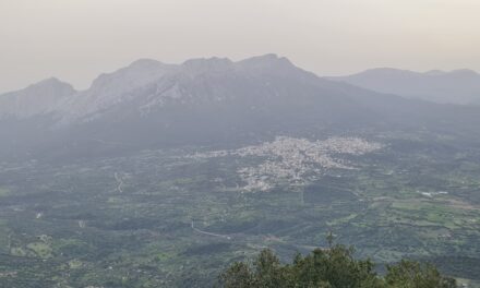 MONTAGNA – La sfida esistenziale delle 3.600 piccole imprese che operano nelle zone montane sarde: 680 milioni di fatturato e 7.500 addetti. Pireddu e Mazzette (Confartigianato Nuoro-Ogliastra): “Attività produttive baluardo dell’economia zonale e contro il decadimento”.